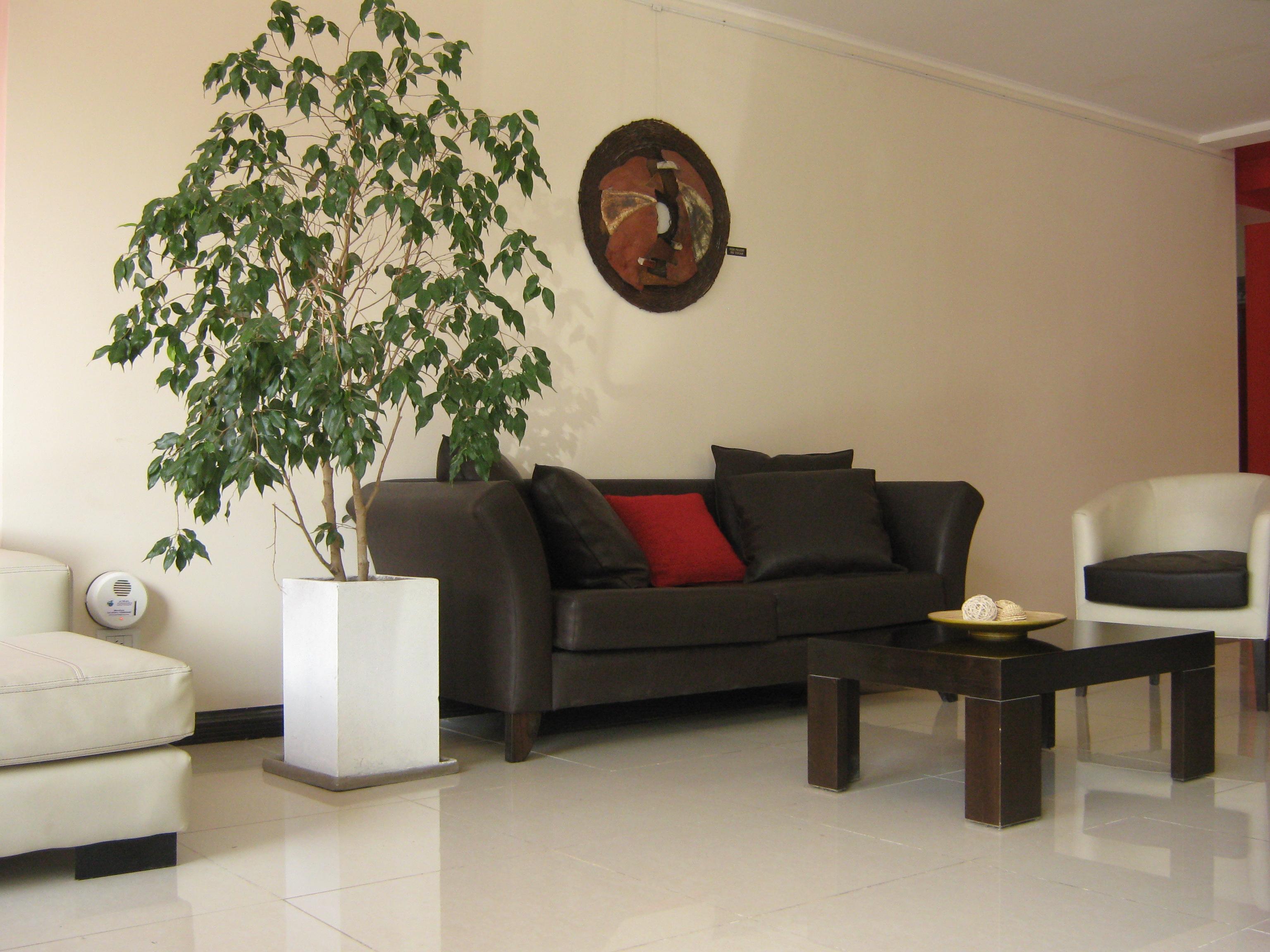 Dakar Hotel Μεντόζα Εξωτερικό φωτογραφία